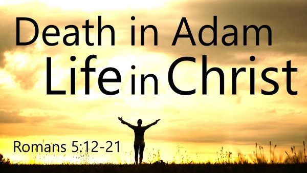 The “C” That Makes The Difference  Image