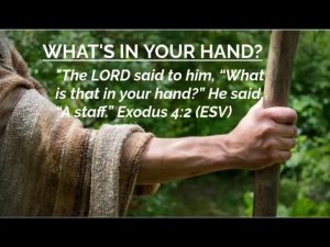 What's In Your Hand? Image